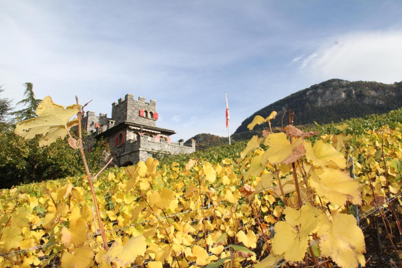 Castel De Daval Bed & Breakfast Sierre ภายนอก รูปภาพ