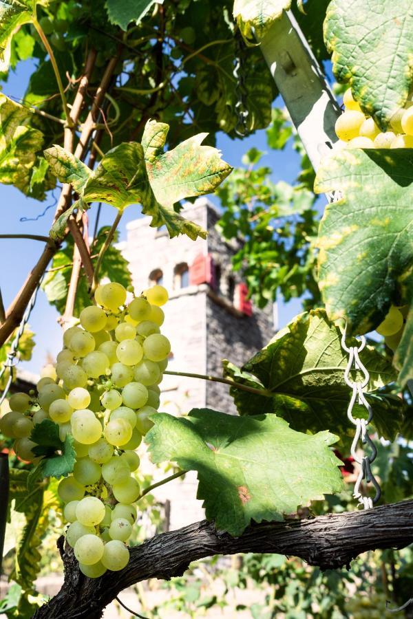 Castel De Daval Bed & Breakfast Sierre ภายนอก รูปภาพ